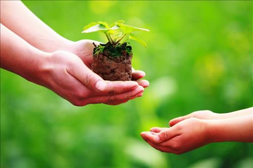 Cau chuyen ngan noi cua Phat 2 Cau chuyen ngan noi cua Phat 2