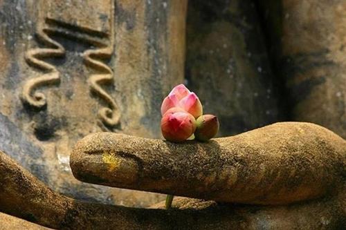 Câu chuyện quả báo nói lưỡi hai chiều Cau chuyen qua bao noi luoi hai chieu