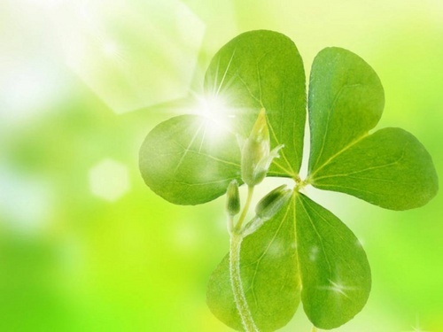 Chuyen tam linh canh tinh con nguoi (phan 2) hinh anh