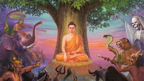 cuoc doi thoai giua quy va phat