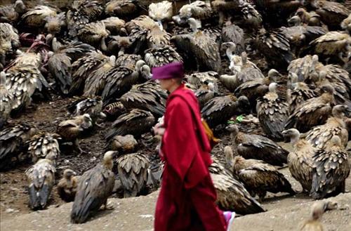 Dau an tam linh trong tuc thien tang cua nguoi Tay Tang hinh anh