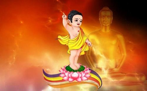 diem bao cat tuong ngay duc phat dan sinh