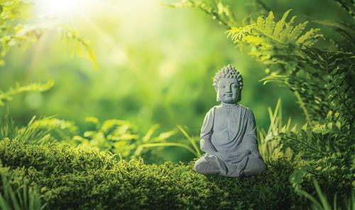 Đức Phật cho biết đâu mới là tài sản Duc Phat cho biet dau moi la tai san