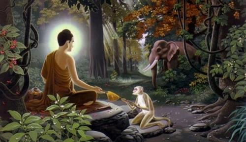 Duc Phat coi trong muon loai