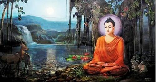 duc phat noi ve tinh than Đức Phật nói về tình yêu và tình thân