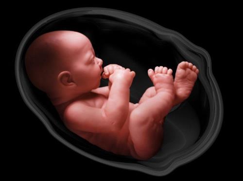 đừng quên thai giáo khi con trong bụng mẹ