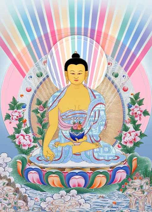 duoc su bo tat chua benh chua nghiep