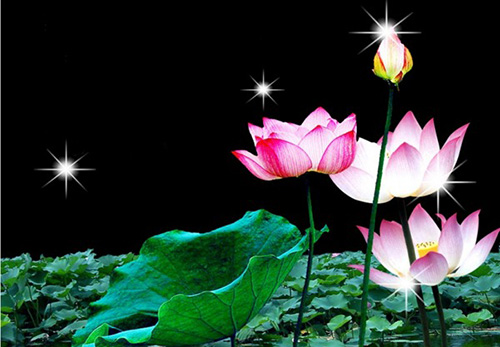 Dược Vương bồ Tát đản sinh - trị bách bệnh của thân và tâm hình ảnh 2 Duoc Vuong bo Tat dan sinh - tri bach benh cua than va tam hinh anh 2