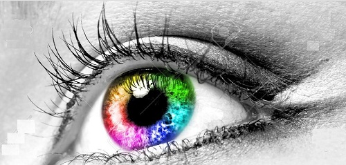 Giải mã bí ẩn giác quan thứ sáu vi diệu hình ảnh 2 Giai ma bi an giac quan thu sau vi dieu hinh anh 2