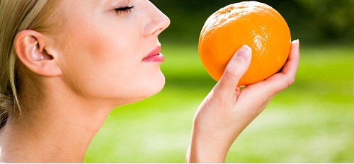 Giải mã bí ẩn giác quan thứ sáu vi diệu hình ảnh Giai ma bi an giac quan thu sau vi dieu hinh anh