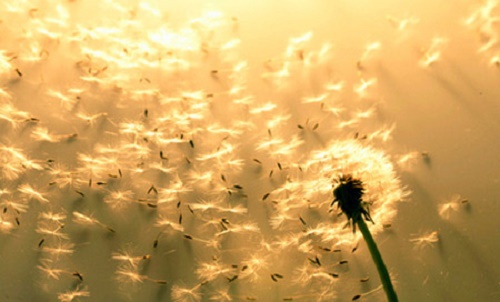 Giai tru nghiep chuong, tuong kho ma de hinh anh 2