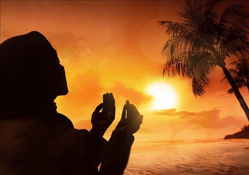 Gửi những người đau khổ vì bị lừa gạt Gui nhung nguoi dau kho vi bi lua gat