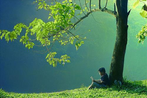 Gửi những người muốn học phật pháp để hoàn thiện bản thân Gui nhung nguoi muon hoc phat phap de hoan thien ban than