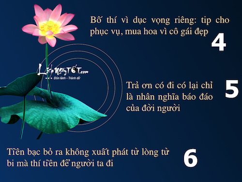 Infographic 18 loai bo thi khong sach se Phat day dung lam hinh anh 3