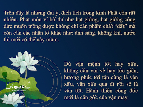 Infographic 18 loai bo thi khong sach se Phat day dung lam hinh anh 9