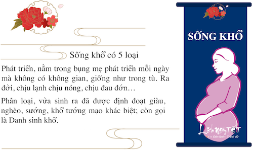 Infographic 8 loai kho tren doi it ai tranh khoi hinh anh goc 3