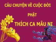 infographic-cuoc-doi-phat-thich-ca-mau-ni-phan-1