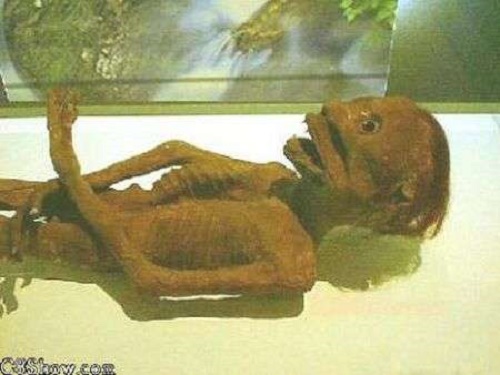 Kappa - loài thủy quái có thật trong niềm tin của người Nhật Bản hình ảnh 2 Kappa - loai thuy quai co that trong niem tin cua nguoi Nhat Ban hinh anh 2