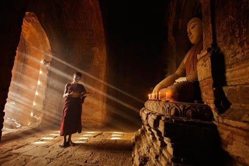 làm gì để tái sinh làm người lam gi de tai sinh lam nguoi