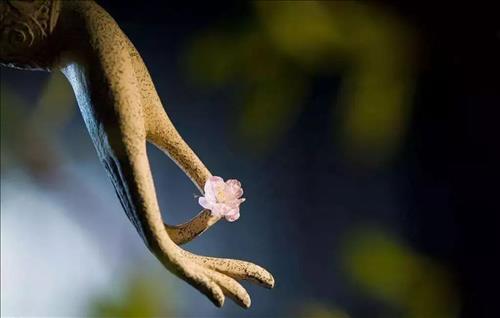 loi phat day ve 5 chu dung hay nhat