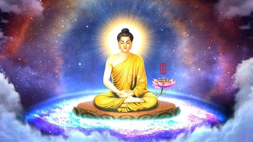 Loi Phat day ve danh loi