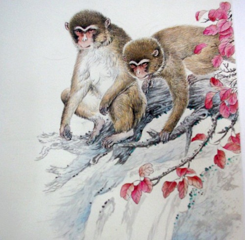 Loi tien tri cua cac nha chiem tinh ve nam Binh Than hinh anh 2