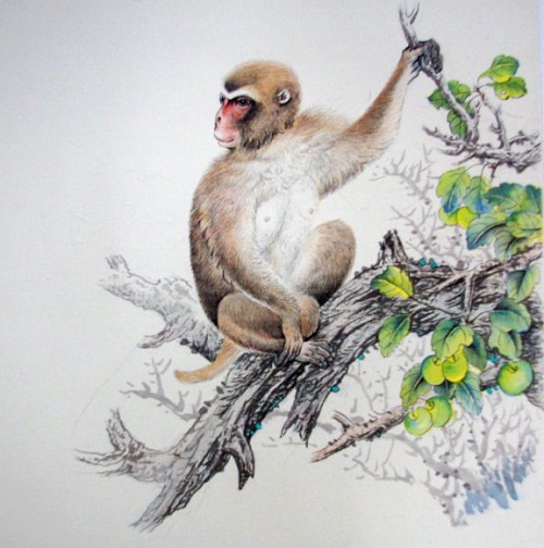 Loi tien tri cua cac nha chiem tinh ve nam Binh Than hinh anh 3