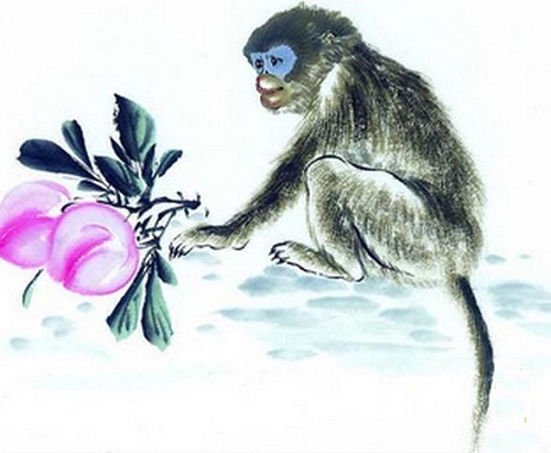 Loi tien tri cua cac nha chiem tinh ve nam Binh Than hinh anh