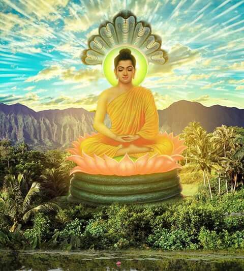 lời phật dạy về tình yêu loi phat day ve tinh yeu