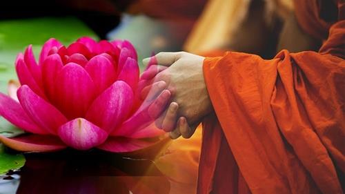 giu tam an tinh don nhan cai chet