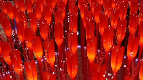 Ma quỷ sợ gì - Những thứ dùng để đối phó với ma quỷ hình ảnh Ma quy so gi - Nhung thu dung de doi pho voi ma quy hinh anh