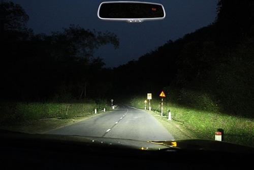 Meo di du lich tranh gap ma