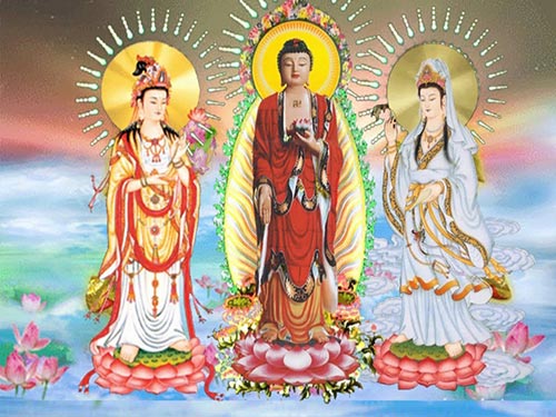 Mieng tung Phat A Di Da, kinh nguong ngay Phat dan sinh hinh anh