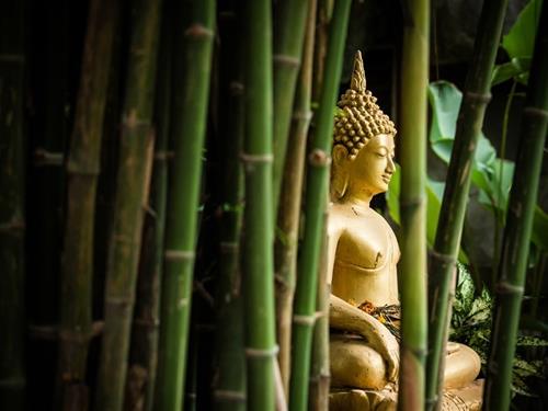 Nam vung 5 nguyen tac khi cung duong Phat