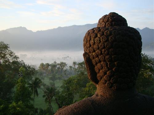 nghiep quyet dinh su tai sinh