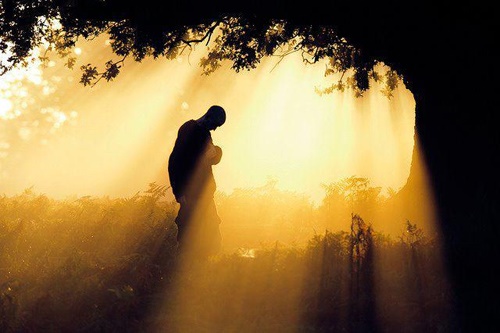 Nguoi moi hoc Phat nen chon tong giao nao hinh anh