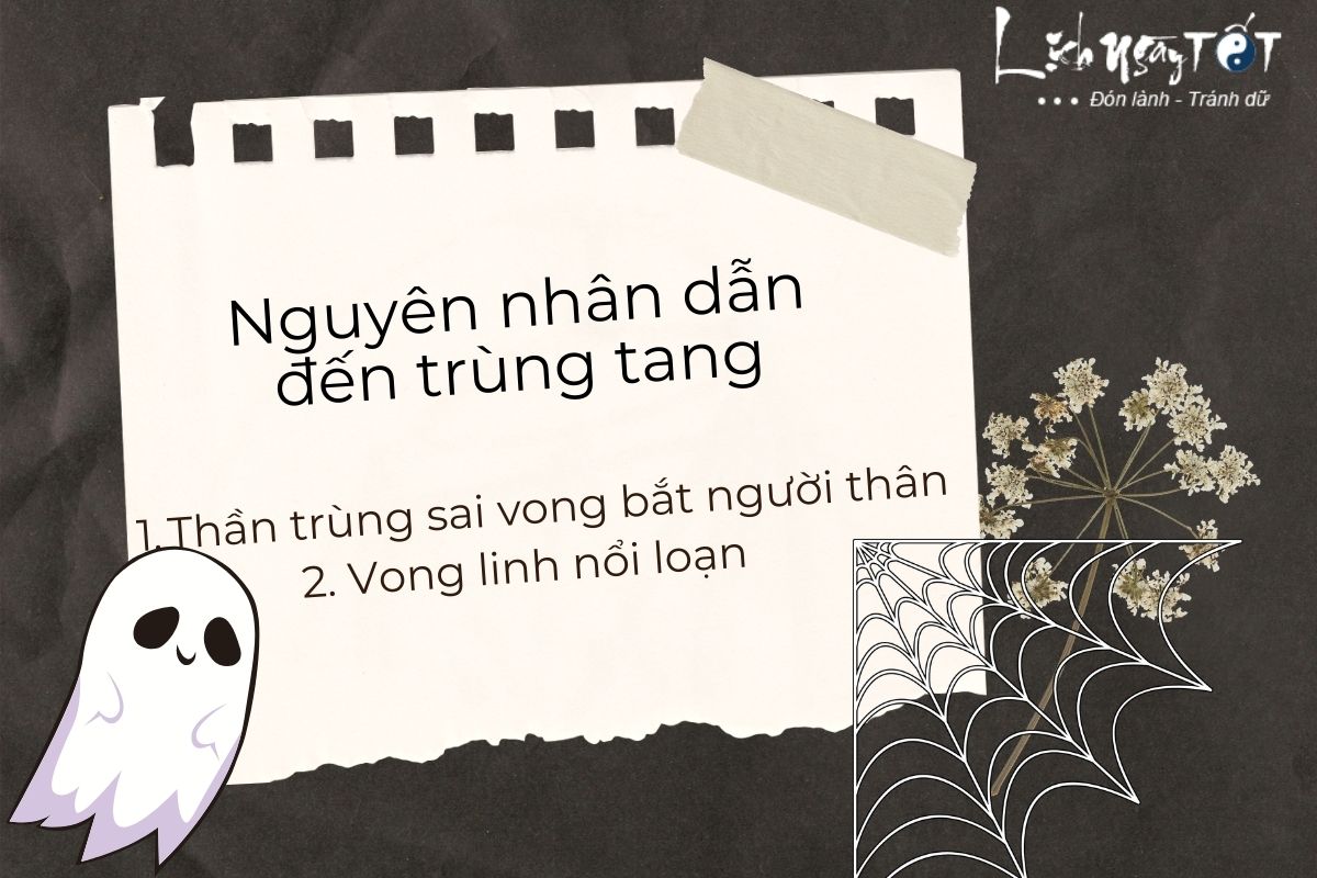 Nguyen nhan trung tang