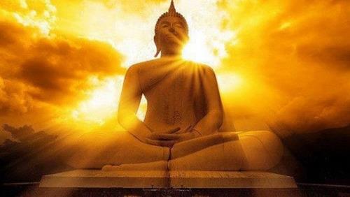 Nhan qua khong chua mot ai 1 Nhan qua khong chua mot ai 1