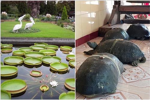 nhung chuyen ly ky ve chua Phuoc Kien Dong Thap nhung chuyen ly ky ve chua Phuoc Kien Dong Thap