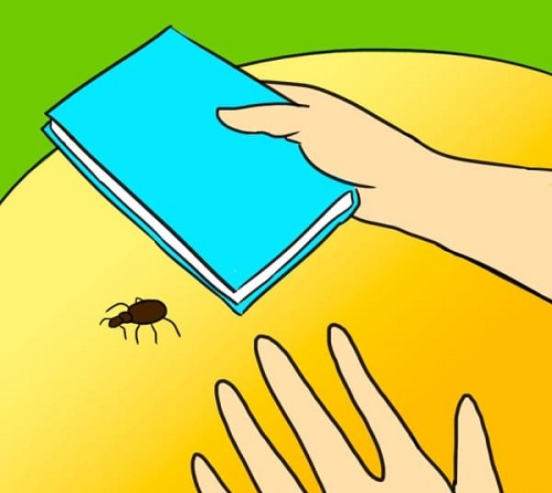 Nhung dau hieu nhan biet ta khi trong nha can xua duoi hinh anh 2