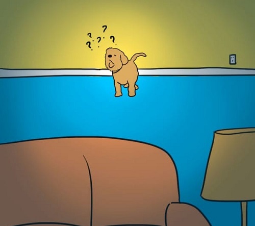 Nhung dau hieu nhan biet ta khi trong nha can xua duoi hinh anh 2