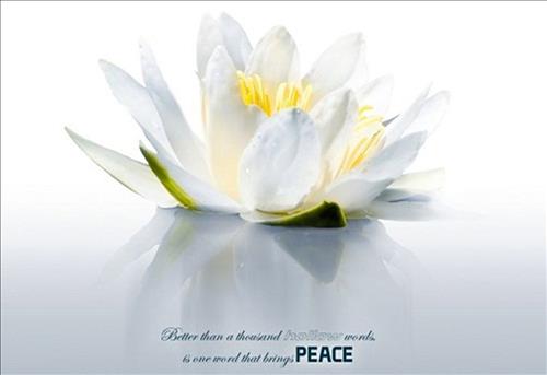 nhung loi phat day bang tieng anh y nghia nhat 2 nhung loi phat day bang tieng anh y nghia nhat 2