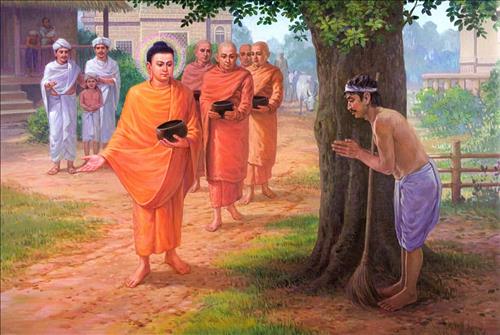 y nghia ao ca sa y nghia ao ca sa