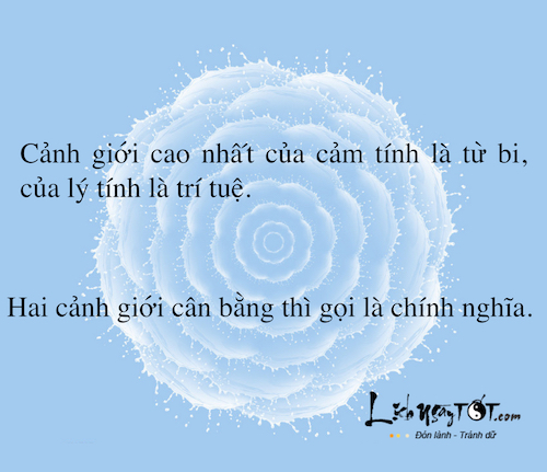 Niem Phat thuyet cho xuan moi thanh than va an nhien hinh anh goc 11