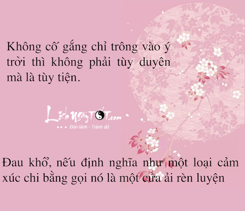 Niem Phat thuyet cho xuan moi thanh than va an nhien hinh anh goc 9