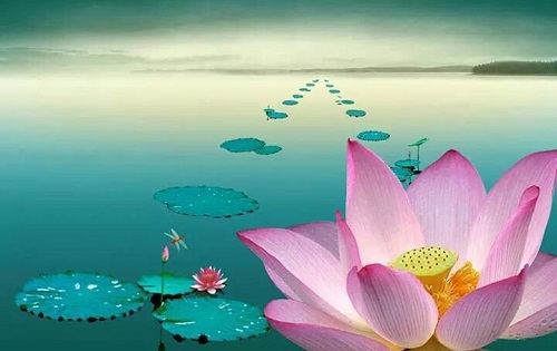 Phat day 10 dieu tu tai phai ghi nho tron doi tron kiep hinh anh 2