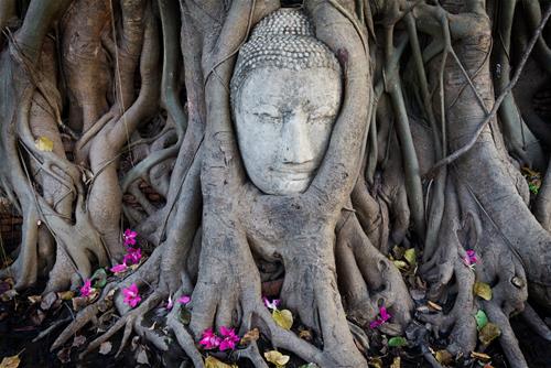 10 hanh vi tieu hao am duc moi ngay 10 hành vi tiêu hao âm đức mỗi ngày