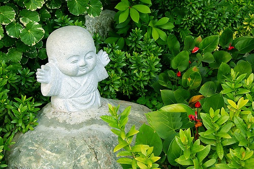 Phật dạy 15 nguyên tắc đảm bảo sống vui, sống an lành p3 hình ảnh 2 Phat day 15 nguyen tac dam bao song vui, song an lanh p3 hinh anh 2