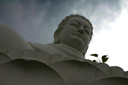 Phat day kieu nguoi tu chuoc phien muon Phật dạy kiểu người tự chuốc phiền não