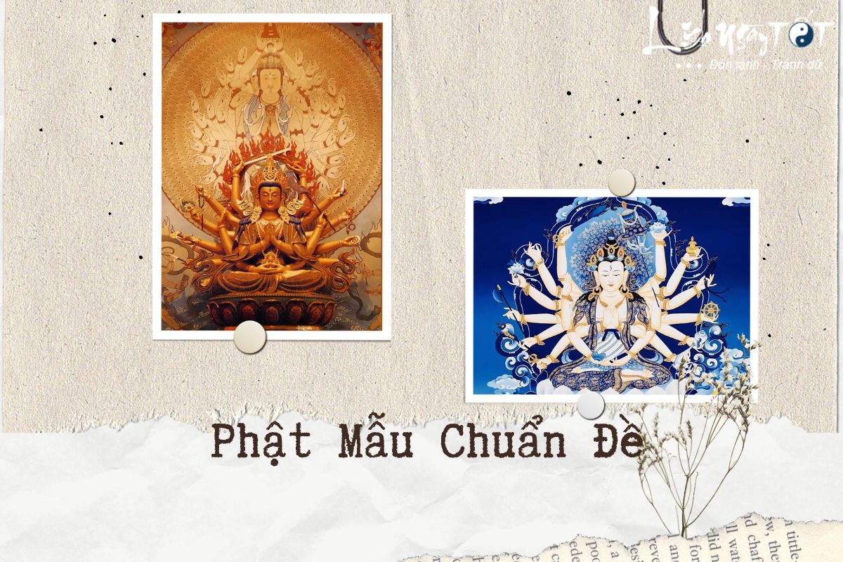 Phat mau chuan de